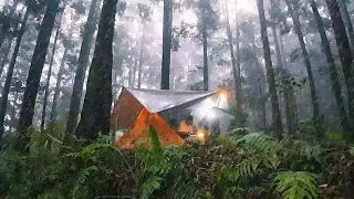 🏕️ RAIN FOREST Camping, heavy rain camping 🌧️ (Silent Vlog)