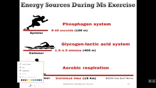 Metabolic Aspects During Exercise