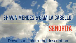 Shawn Mendes & Camila Cabello - Senorita (instrumental, karaoke, without voice)