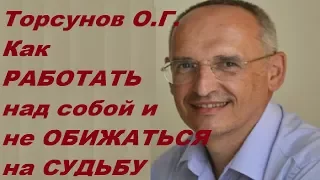 Торсунов О.Г. Как РАБОТАТЬ над собой и не ОБИЖАТЬСЯ на СУДЬБУ