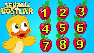 Sevimli Dostlar ile sayıları öğreniyorum | Say bakalım | Bebek Şarkıları | Kids songs Nursery Rhymes