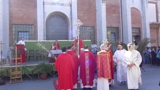 Domenica delle Palme: Passione del Signore - Rimini 9 aprile 2017