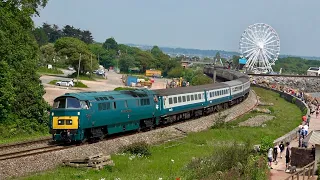 D1015 'Western Champion' - The English Riviera Airshow In Devon - 01/06/24