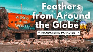 Flight Across Continents: Wings of the World at Mandai Bird Paradise in Singapore 2023