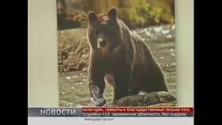 Медведя под охрану. Новости 27/09/2016 GuberniaTV