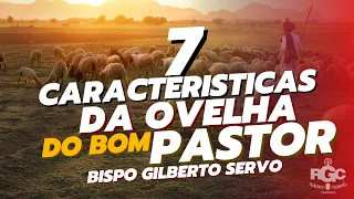 7 CARACTERÍSTICAS DA OVELHA DO BOM PASTOR 🔴ESTUDO BIBLICO🔴 BISPO GILBERTO SERVO