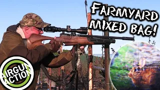 Airgun Action | Shooting magpies, pigeons & rabbits on the farm | BSA R-12 CLX Pro review