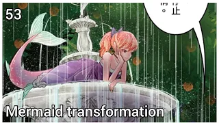 Mermaid transformation 53