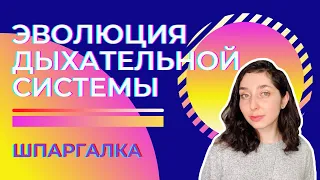 Дыхательная система животных, эволюция — Шпаргалка. ЦТ, ЕГЭ, ЗНО.