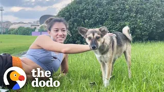 Pro Athlete Rescues Stray Dog Who Kept Showing Up To Practice | The Dodo