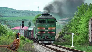 Весенний грузовой поезд под пение птиц. Перегон Бессарабка - Березино. Тепловоз 2ТЭ116-1201