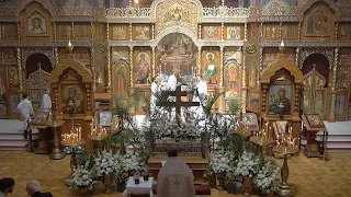 HVC 2023-04-15 Vespers & Liturgy Вечерня с Литургией св. Василия Великого