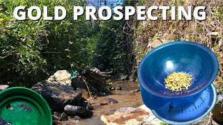 GOLD Prospecting THE BEST CREEK in Australia!