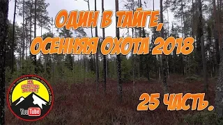 Медведь наследил /Осенняя охота 2018/ 25 часть.