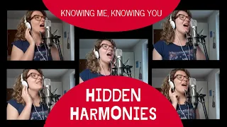 Knowing Me, Knowing You - Hidden Harmonies - Deconstructing ABBA's Multi-Layered Vocals