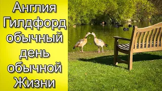 Vlog 476 - Обычная жизнь в Англии