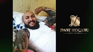 Dani Mocanu - Un sfat pentru dusmani  | Official Audio