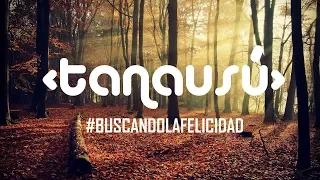 BUSCANDO LA FELICIDAD | tanausú | Siempre Como El Primer Día