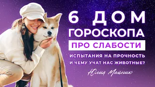 6️⃣  6 дом гороскопа - про болезни, слабости и при чем здесь аппетит? | Астрология Джйотиш