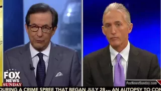 TREY GOWDY and PROFESSOR JONATHAN GRUBER