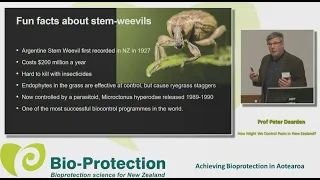 Prof Peter Dearden: Lessons from weevilogy