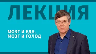 Лекция: Мозг и еда, мозг и голод