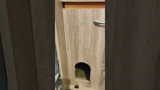 Кошачий туалет без запаха