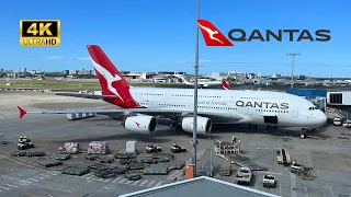 QANTAS A380 QF1 Economy Class - Sydney to London via Singapore 2023 (4K)
