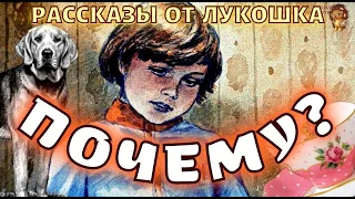 Почему — Рассказ, Валентины Осеевой | Поучительная и интересная история | Осеева рассказы