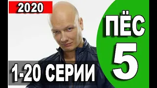 ПЁС 5 СЕЗОН. 1-20 СЕРИЯ (НТВ 2020) АНОНС И ДАТА ВЫХОДА