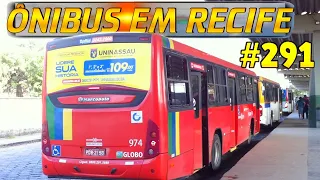 #291 Terminal PE 15 - Movimentação de ônibus no Terminal integrado da PE 15