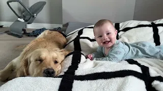 Adorable Baby Boy And Golden Retriever Are Best Friends! (Cutest Ever!!)