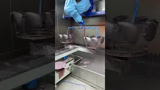 Robotic Automatic Spray Painting Paint Shop for Automotive Mirror Scalps