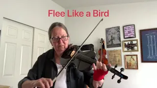 Flee Like a Bird