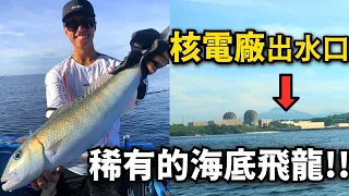 【大物計畫EP5】在核電廠出水口釣魚，居然有稀有的海底飛龍出沒!? 恆春後壁湖南灣船磯!!