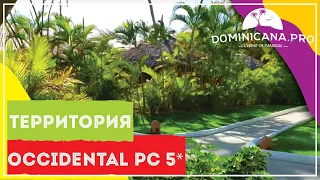 Occidental Punta Cana 5* обзор территории отеля и бассейнов
