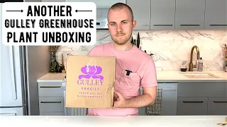 Unboxing MORE Houseplants From Gulley Greenhouse