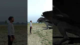 Pet Dragon Video Editing VFX Teaser #shorts