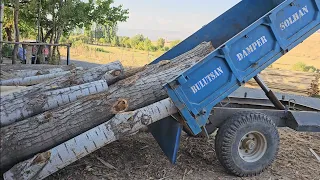 Cutting Trees with a Tractor (Unknown Method)