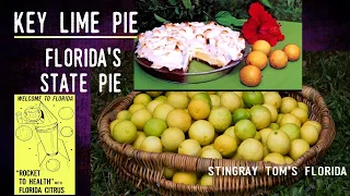 Key Lime Pie - Florida's Official State Pie: A Take 5 For Florida History 27