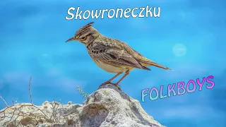 FOLK BOYS - Skowroneczek