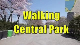 ⁴ᴷ Walking Tour of Central Park, NYC during Spring from 59th - 110th Streets (GPS Overlay)