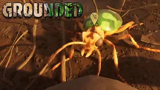 Битва насекомых Grounded #3 Игра про насекомых