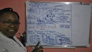 #molecularbiology #TheCentralDogmaofMolecular Biology Basics of Molecular Biology (Part 1)