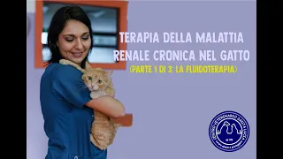 118 - TERAPIA DELLA MALATTIA RENALE CRONICA NEL GATTO (parte 1 di 3: la fluidoterapia)