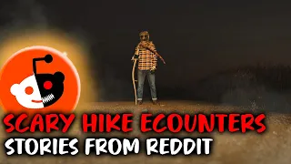 3 Scary Things Hikers Have Encountered in the Woods on Reddit