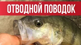 ОТВОДНОЙ ПОВОДОК! Самый ЛУЧШИЙ и ПРОСТОЙ монтаж 2019 | Рыбалка с Fishingsib