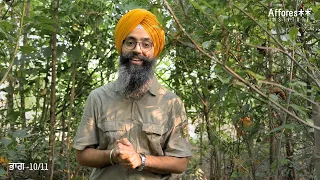 Ch:10 | Maintenance | Forest Creation Tutorials | Punjabi