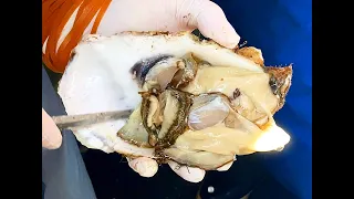 Comida callejera japonesa - Grandes ostras