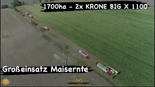 Großeinsatz Maisernte 2 Häckselketten & 1700ha Mais LU Meier & Partner m. 2 Krone Big X 1100